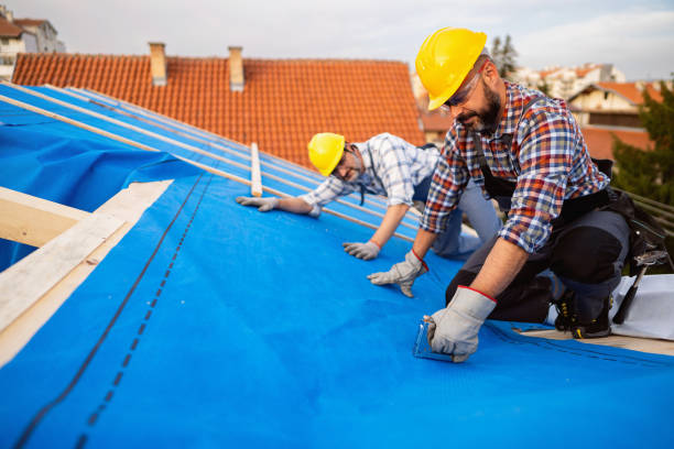 Roof Gutter Cleaning in Sheridan, OR